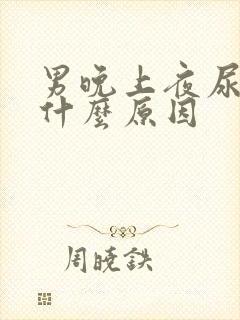 男晚上夜尿多是什么原因