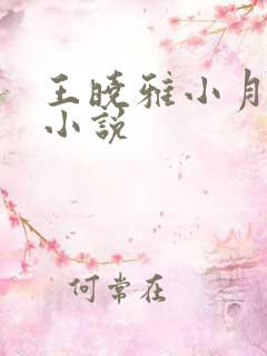 王晓雅小月王叔小说