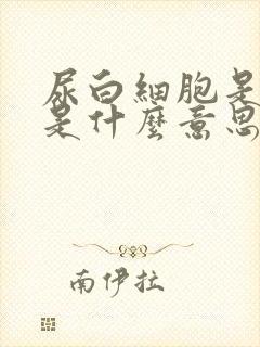 尿白细胞是阳性是什么意思