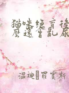 猫咪绝育后为什么还会乱尿