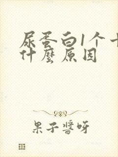 尿蛋白1个十是什么原因