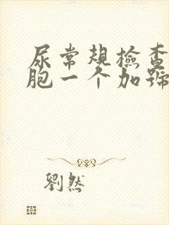 尿常规检查白细胞一个加号