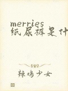 merries纸尿裤是什么牌子