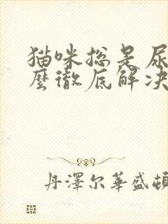 猫咪总是尿闭怎么彻底解决