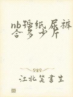 nb号纸尿裤适合多少斤