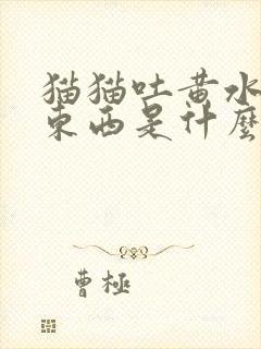 猫猫吐黄水不吃东西是什么原因