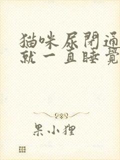 猫咪尿闭通尿后就一直睡觉