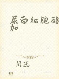 尿白细胞酯酶2加