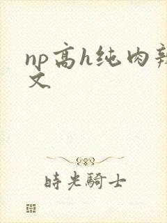 np高h纯肉辣文