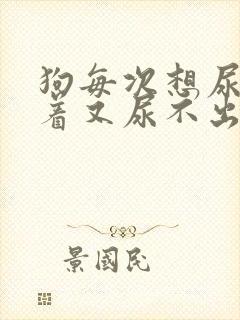 狗每次想尿尿蹲着又尿不出来