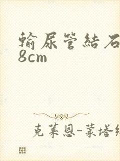 输尿管结石0.8cm