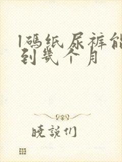 l码纸尿裤能穿到几个月