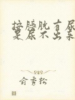 按膀胱有尿意但是尿不出来