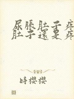 尿胀肚子疼尿完肚子还是疼