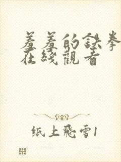 羞羞的铁拳高清在线观看