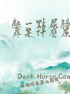 憋一点尿膀胱就疼是什么原因