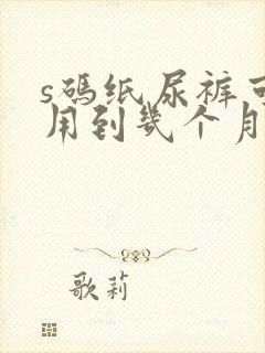 s码纸尿裤可以用到几个月