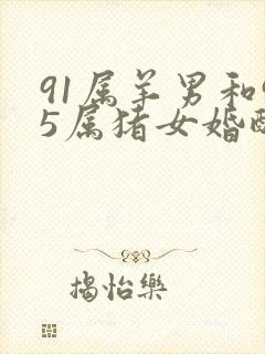 91属羊男和95属猪女婚配指数