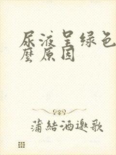 尿液呈绿色是什么原因