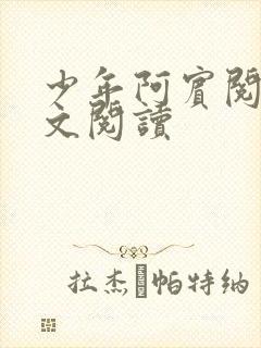 少年阿宾阅读全文阅读