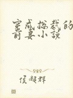 穿成总裁的美艳前妻小说