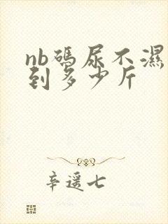 nb码尿不湿穿到多少斤