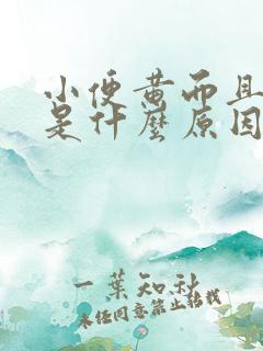 小便黄而且浑浊是什么原因引起的