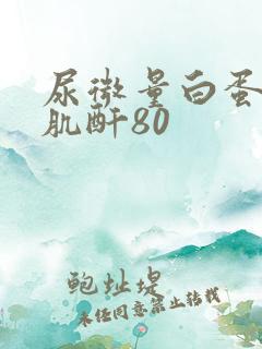 尿微量白蛋白/肌酐80