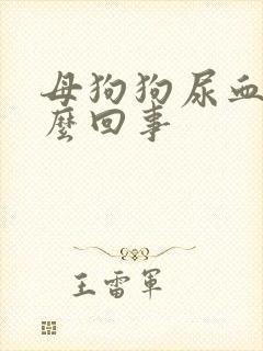 母狗狗尿血是怎么回事