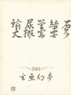 输尿管结石手术大概需要多少钱