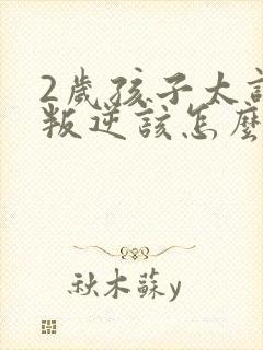 2岁孩子太调皮叛逆该怎么教育