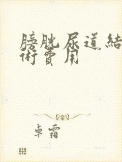 膀胱尿道结石手术费用