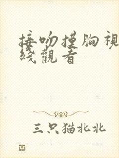 接吻摸胸视频在线观看