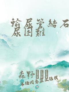 输尿管结石 排尿困难