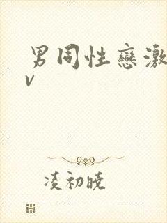 男同性恋激情av