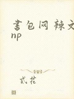 书包网 辣文 np