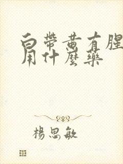 白带黄有腥臭味用什么药