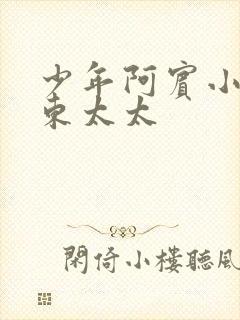 少年阿宾小说房东太太