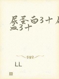 尿蛋白3十尿潜血3十