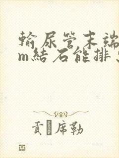 输尿管末端2mm结石能排出吗