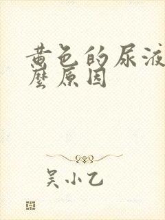 黄色的尿液是什么原因