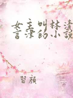 女主叫林清妍宋言津的小说免费阅读
