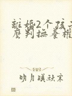 离婚2个孩子怎么判抚养权