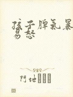 孩子脾气暴躁的易怒