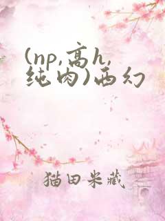 (np,高h,纯肉)西幻