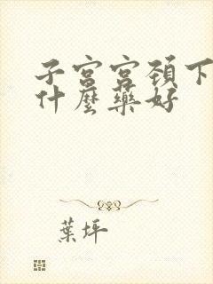 子宫宫颈下垂吃什么药好