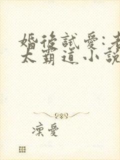 婚后试爱:老公太霸道小说免费阅读