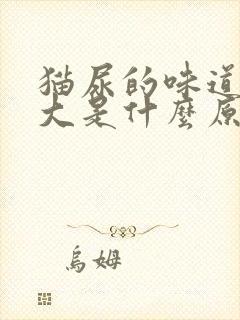 猫尿的味道特别大是什么原因