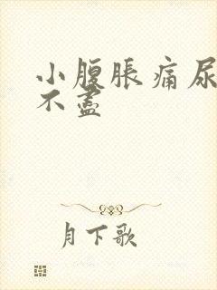 小腹胀痛尿频尿不尽