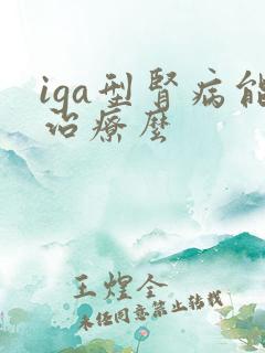 iga型肾病能治疗么